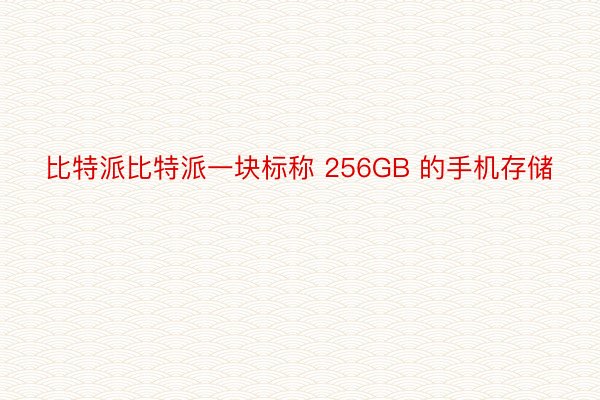 比特派比特派一块标称 256GB 的手机存储