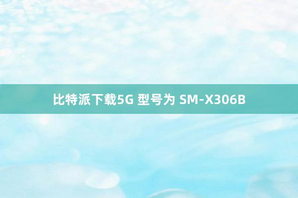 比特派下载5G 型号为 SM-X306B