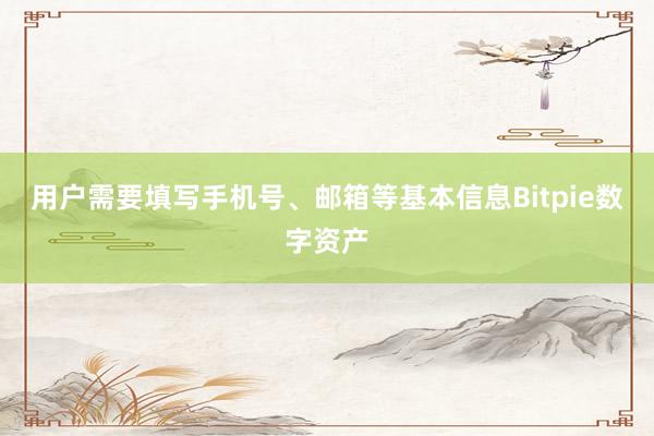 用户需要填写手机号、邮箱等基本信息Bitpie数字资产