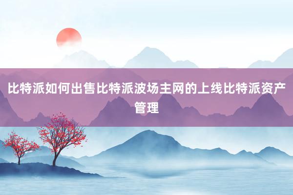 比特派如何出售比特派波场主网的上线比特派资产管理