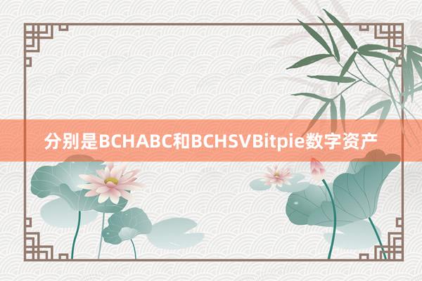 分别是BCHABC和BCHSVBitpie数字资产