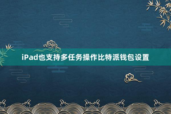 iPad也支持多任务操作比特派钱包设置