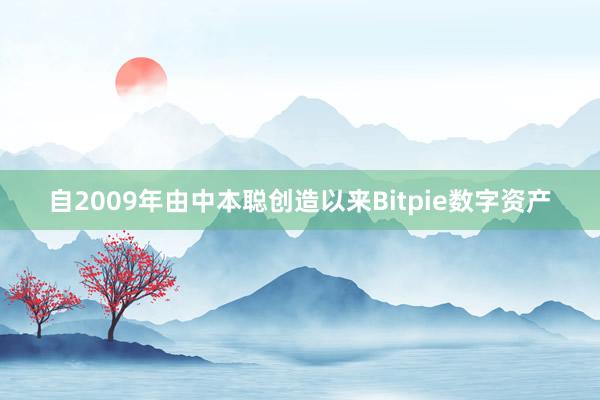 自2009年由中本聪创造以来Bitpie数字资产