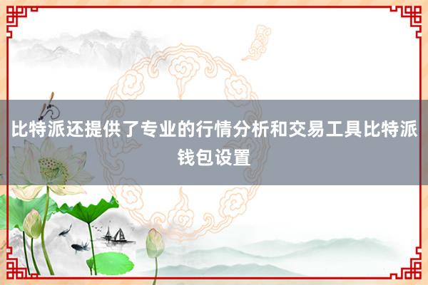 比特派还提供了专业的行情分析和交易工具比特派钱包设置