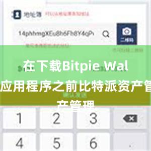 在下载Bitpie Wallet应用程序之前比特派资产管理