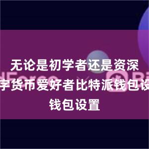 无论是初学者还是资深数字货币爱好者比特派钱包设置