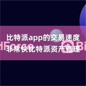 比特派app的交易速度非常快比特派资产管理